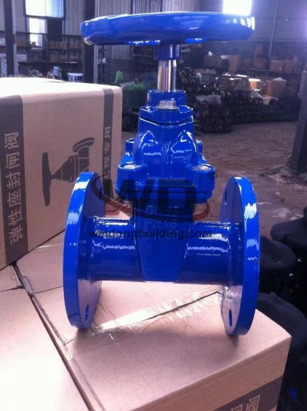 Gate/Check Valve