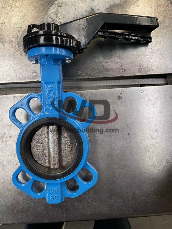 Gate/Check Valve