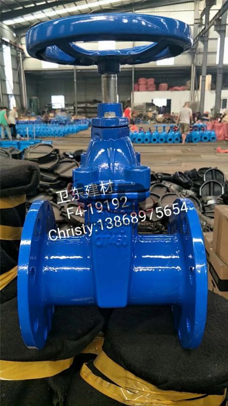 Gate/Check Valve