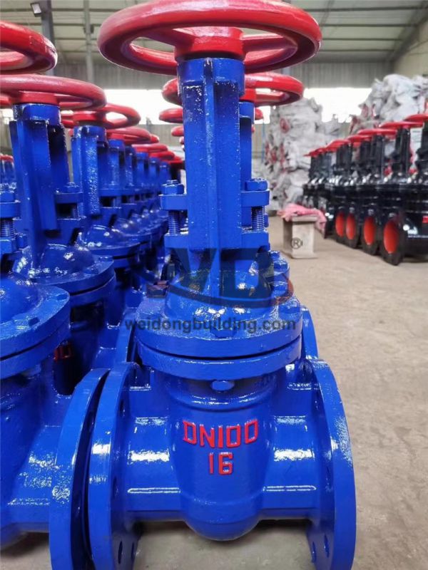 Gate/Check Valve