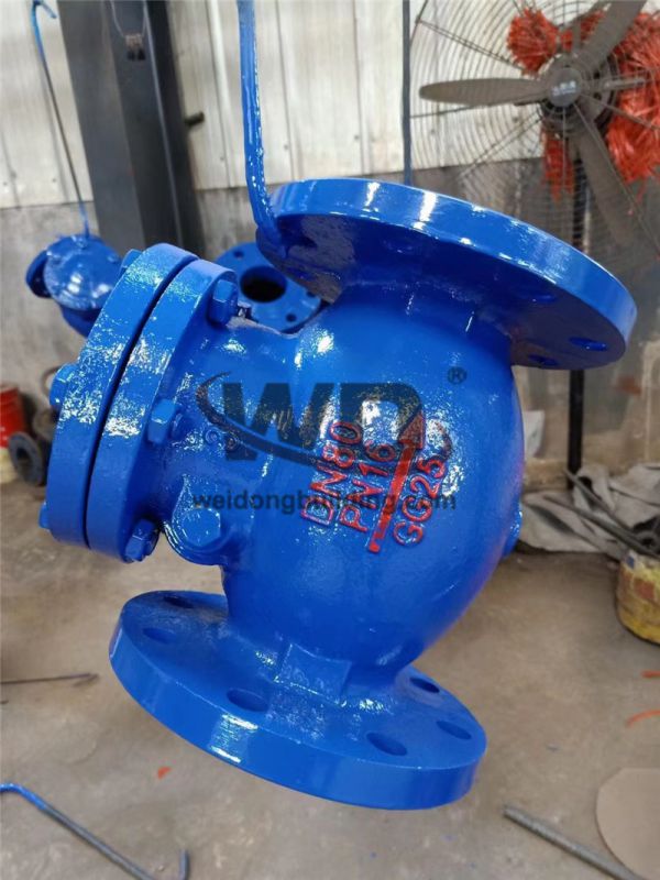 Gate/Check Valve