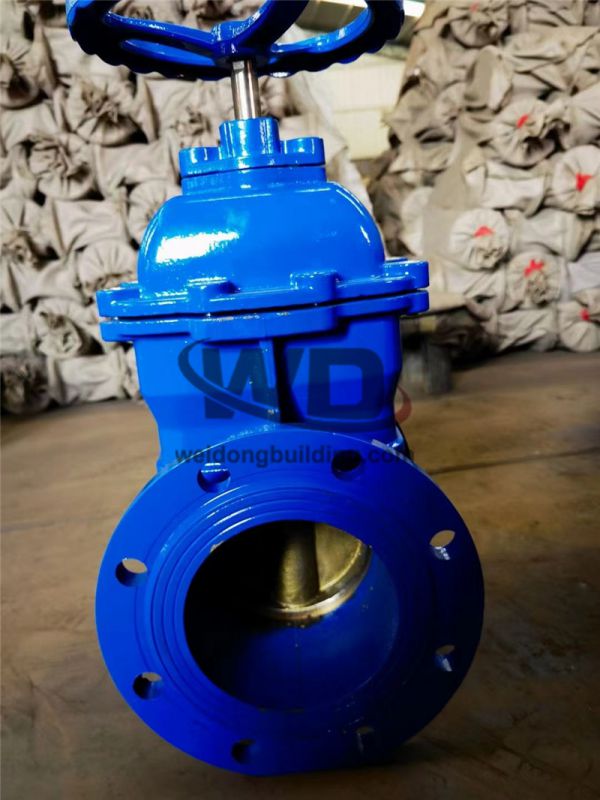 Gate/Check Valve