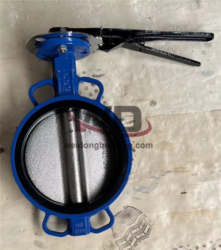 Gate/Check Valve