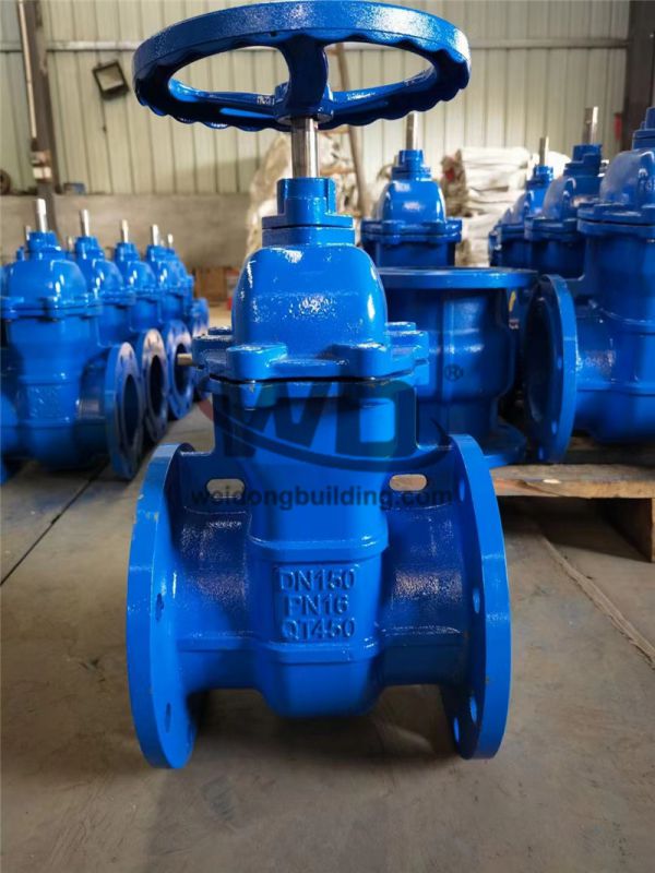 Gate/Check Valve