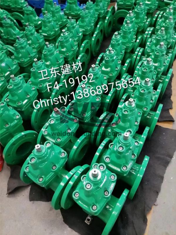 Gate/Check Valve