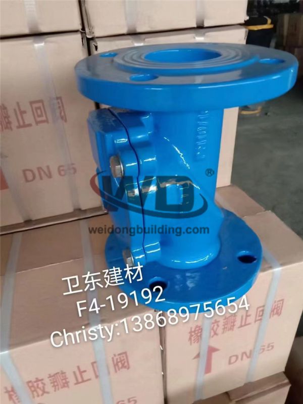 Gate/Check Valve