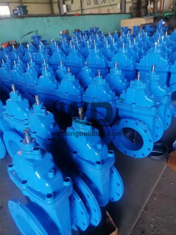 Gate/Check Valve