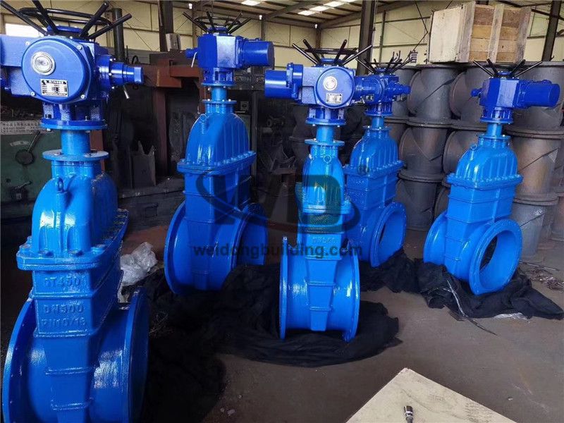 Gate/Check Valve