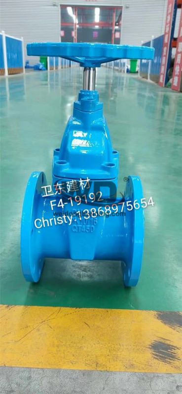 Gate/Check Valve