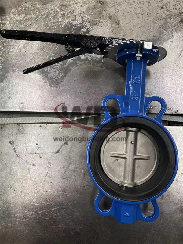 Gate/Check Valve